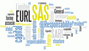 Société par actions simplifiée Société par actions simplifiée